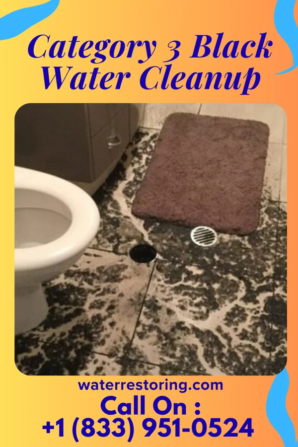 Category 3 Black Water Cleanup in Yarnell, PA